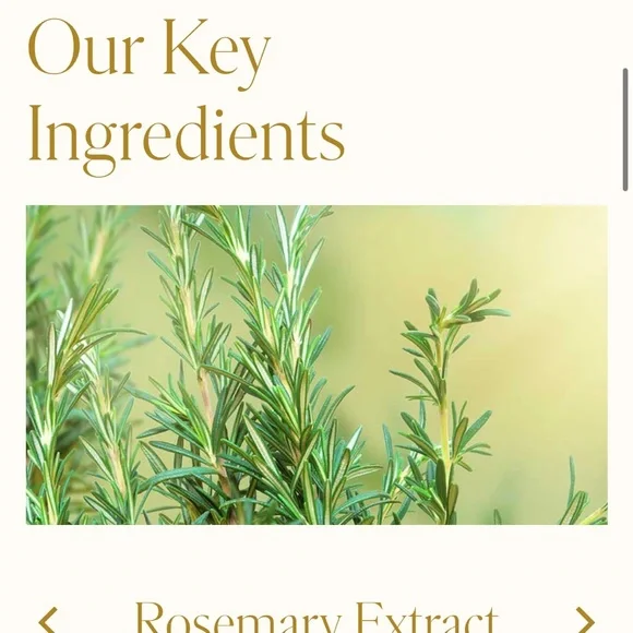 WEN  Summer Honey Peach Cleansing Conditioner 16oz New Read description - Picture 9 of 12